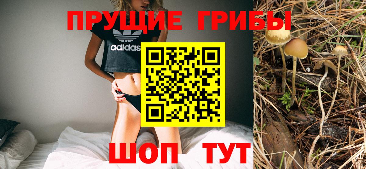 Кизилюрт  Псилоцибиновые грибы GOLDEN TEACHER  Вход с VPN 